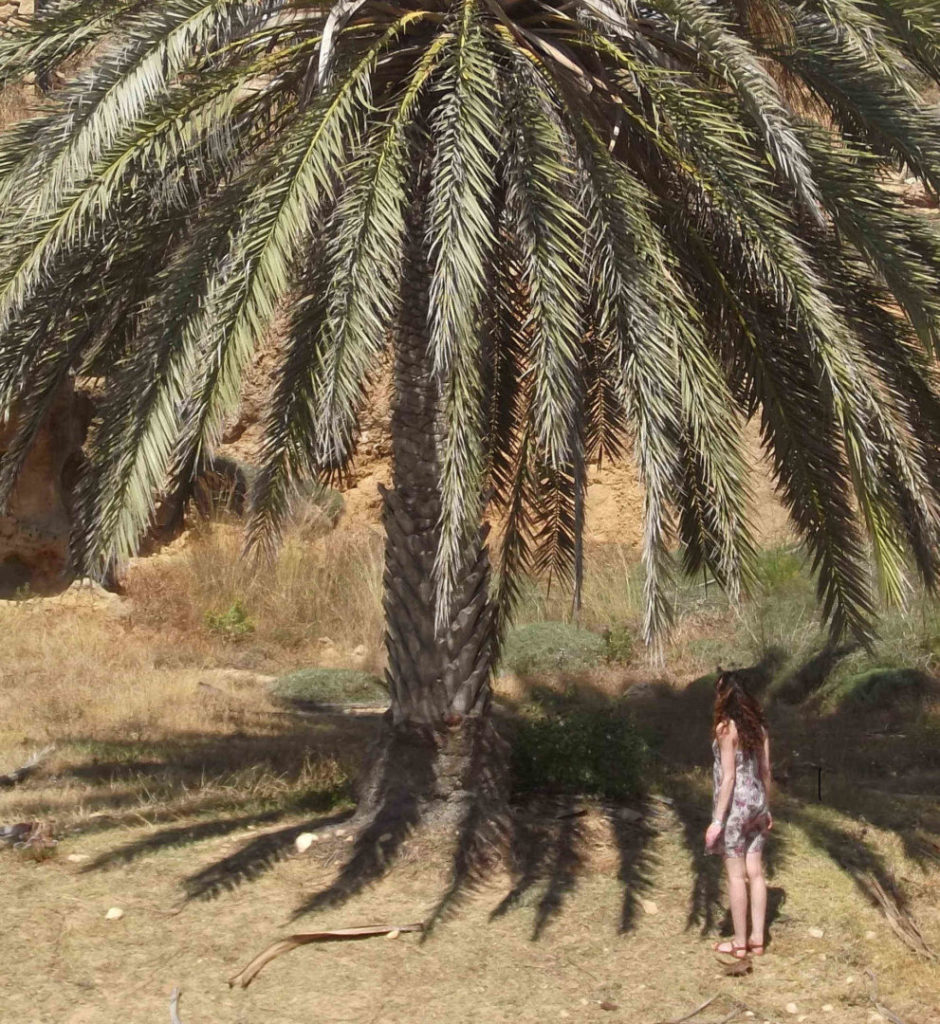 Clémentine Barbé devant un grand arbre qu'elle regarde